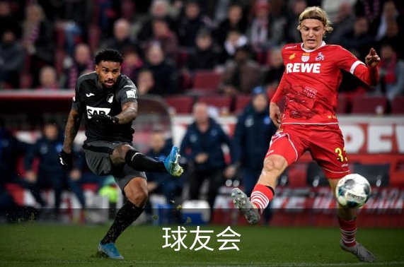球友会简介
